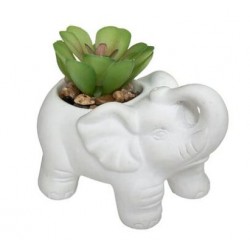 Planta con maceta elefante cemento