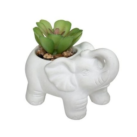 Planta con maceta elefante cemento