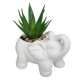 Planta con maceta elefante cemento