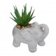 Planta con maceta elefante cemento