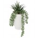 Planta con maceta rostro cemento blanco