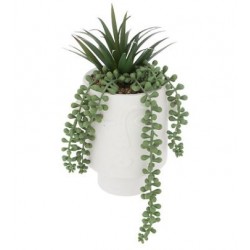 Planta con maceta rostro cemento blanco