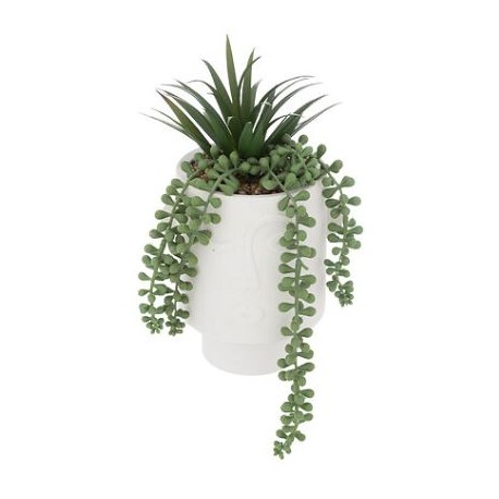 Planta con maceta rostro cemento blanco