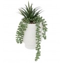 Planta con maceta rostro cemento blanco