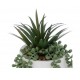 Planta con maceta rostro cemento blanco