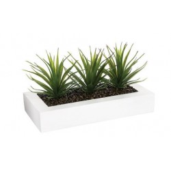 Centro de mesa 3 aloes vera 35x15x17,5cm