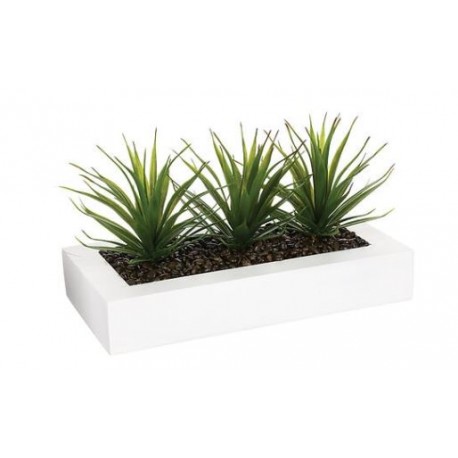 Centro de mesa 3 aloes vera 35x15x17,5cm