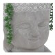 Planta con maceta forma Buda hormigon 15x15x30cm