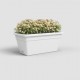 Jardinera Venezia 49x19,5 blanca