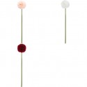 Caña rama pom pom 60cm
