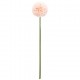 Caña rama pom pom 60cm