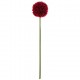 Caña rama pom pom 60cm