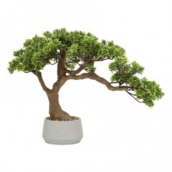 Bonsai 60cm alto con maceta gris