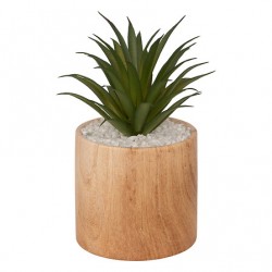 Planta 17,5cm de alto con maceta de madera