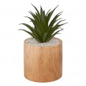 Planta 17,5cm de alto con maceta de madera
