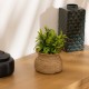 Planta 20cm de alto con maceta natural