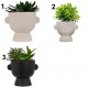Planta suculenta variada 22cm de alto
