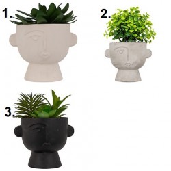 Planta suculenta variada 22cm de alto