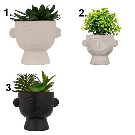 Planta suculenta variada 22cm de alto