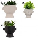 Planta suculenta variada 22cm de alto