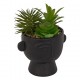 Planta suculenta variada 22cm de alto