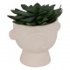 Planta suculenta variada 22cm de alto