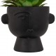 Planta suculenta variada 22cm de alto