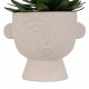 Planta suculenta variada 22cm de alto