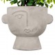 Planta suculenta variada 22cm de alto
