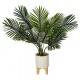 Palmera 72cm de alto con maceta de cerámica y base de madera