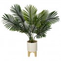 Palmera 72cm de alto con maceta de cerámica y base de madera