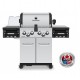 BARBACOA GAS REGAL 590