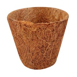 Maceta de coco redonda 6cm 6uds