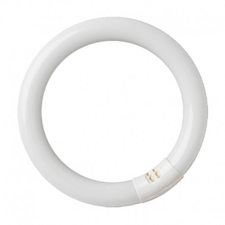 Tubo LED circular T9 G10q 6500K