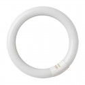 Tubo LED circular T9 G10q 6500K