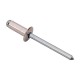 Remache standard AL/AC de metal Salki