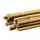 Tutor de bambú Ø1,1cm para plantas