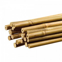 Tutor de bambú Ø1,1cm para plantas