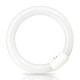Tubo fluorescente circular T9 G10q