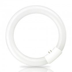 Tubo fluorescente circular T9 G10q