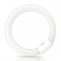 Tubo fluorescente circular T9 G10q