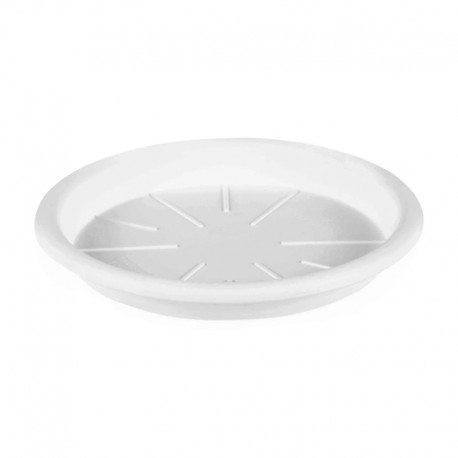 Plato redondo blanco