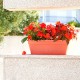 Jardinera Venezia 49x19,5cm