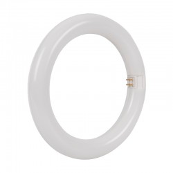 Tubo LED circular blanco G10q