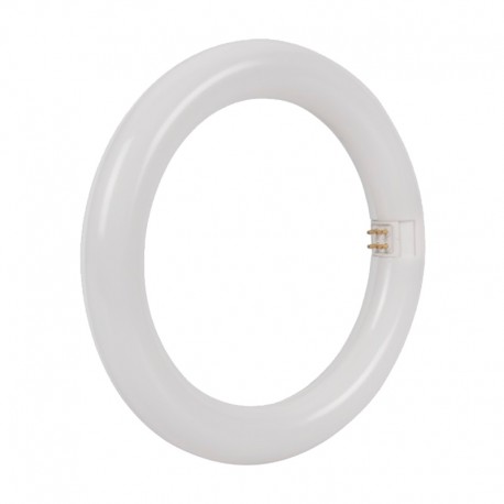 Tubo LED circular blanco G10q