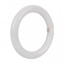 Tubo LED circular blanco G10q