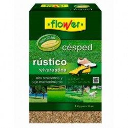 Semilla césped rústico resistente 1kg.