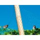 Malla antipájaros verde 4x6 metros