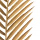Caña tallo palmera o helecho dorado 22x95cm