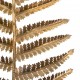 Caña tallo palmera o helecho dorado 22x95cm
